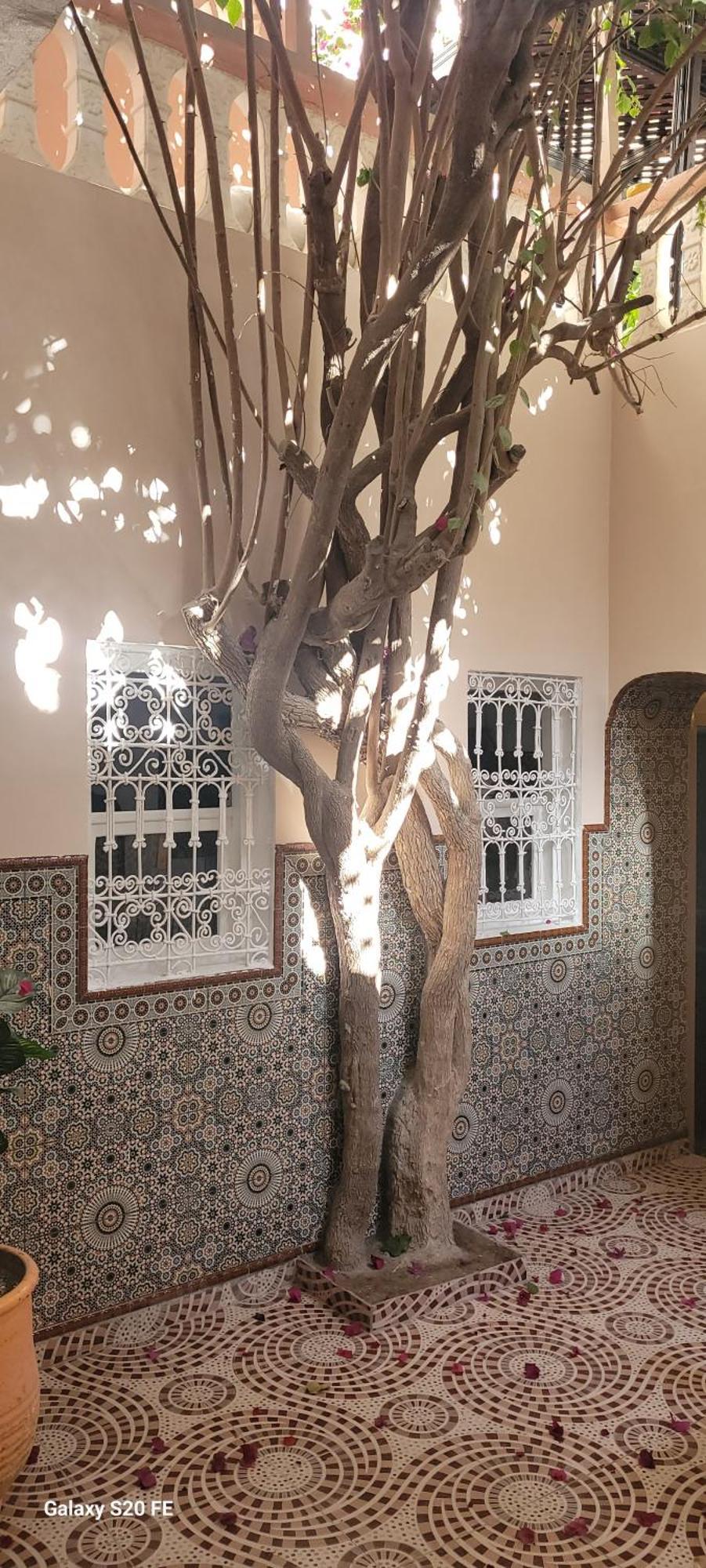 Surf Riad טגזוט מראה חיצוני תמונה